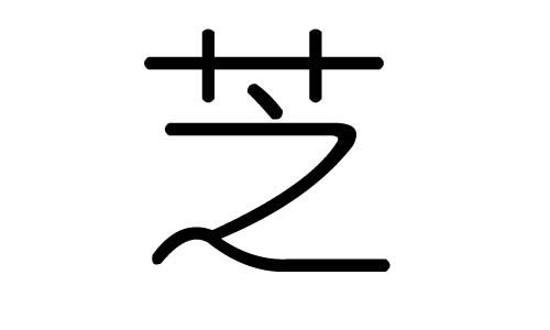 芝字的五行属什么，芝字有几划，芝字的含义