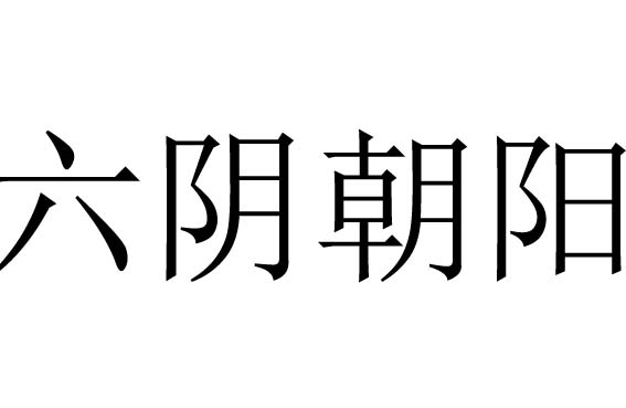 六阴朝阳是什么意思