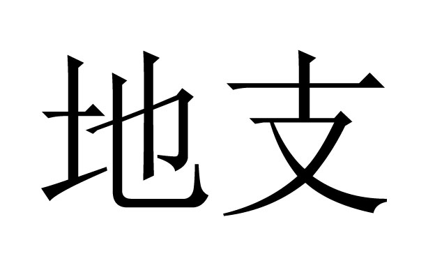 地支是什么意思？