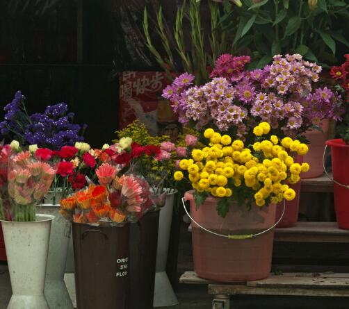 鲜花店铺起简单名字