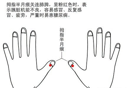 半月痕观健康图解1