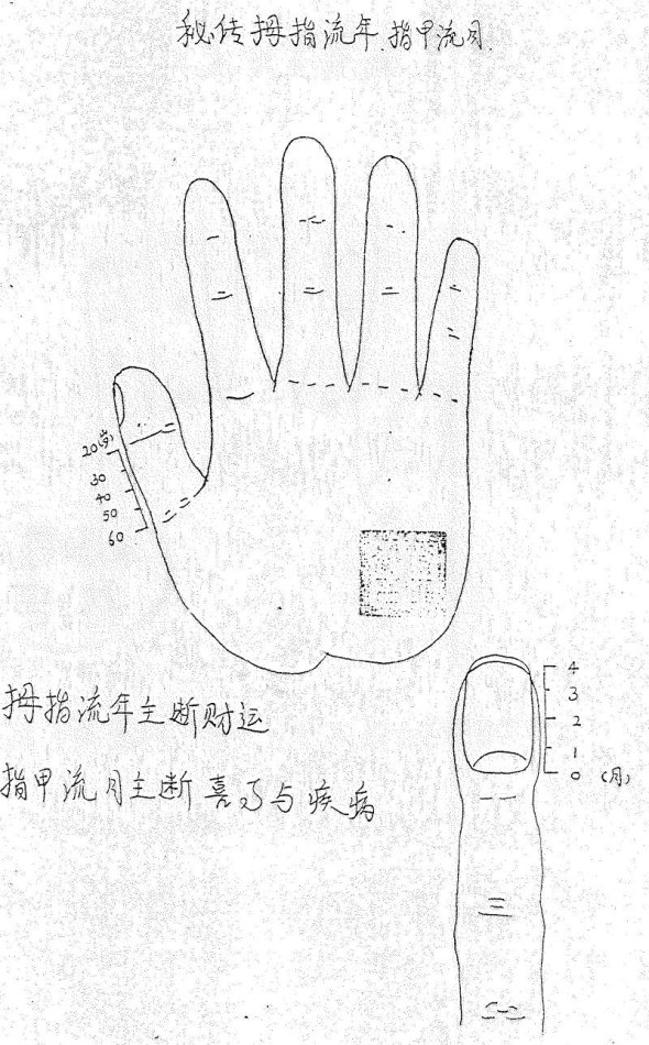 秘传手相绝对符