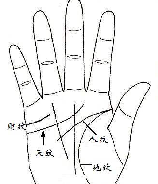 手相五大手纹基本知识