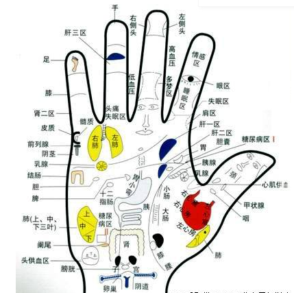 手相五大线纹看命运秘诀