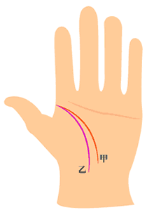 智慧线和生命线相交