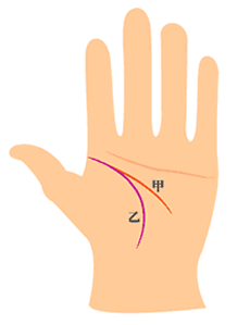 智慧线和生命线相交