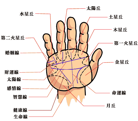 手相中手掌纹各代表什么意义？