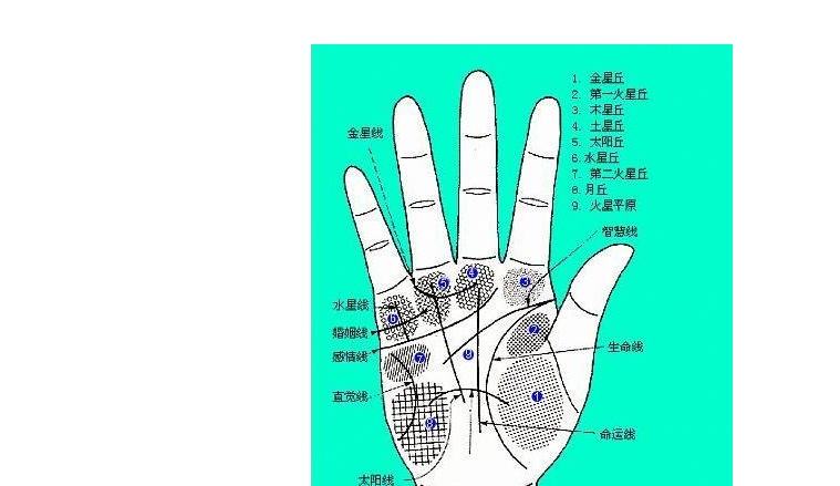 手相与命运、疾病