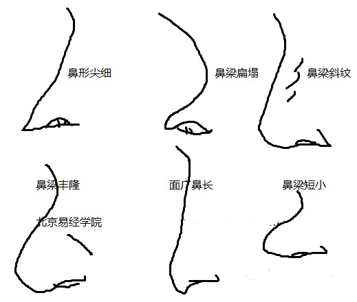 面相金口诀相鼻子篇