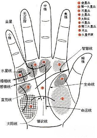 看你手中有没有富贵吉祥的符号