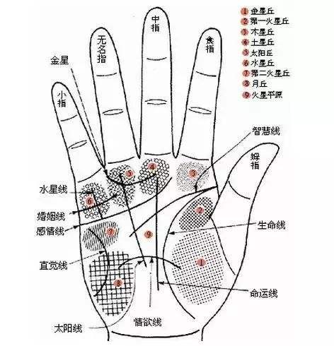 啥手相的人有富贵命