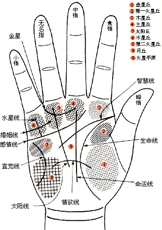 婚姻,手相