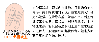 指纹,手相