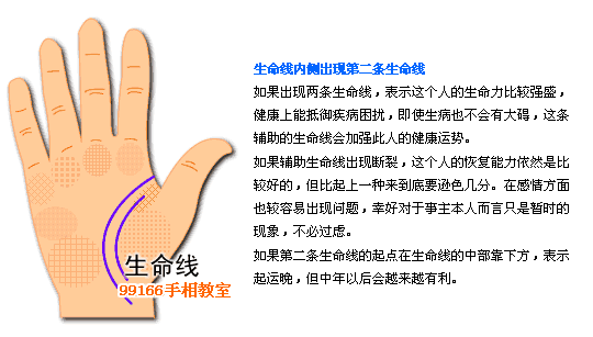 生命线,健康,看手相,手相