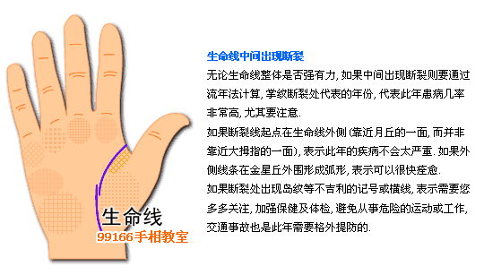 生命线,健康,看手相,手相