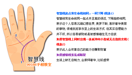 智慧线,个性,看手相,手相