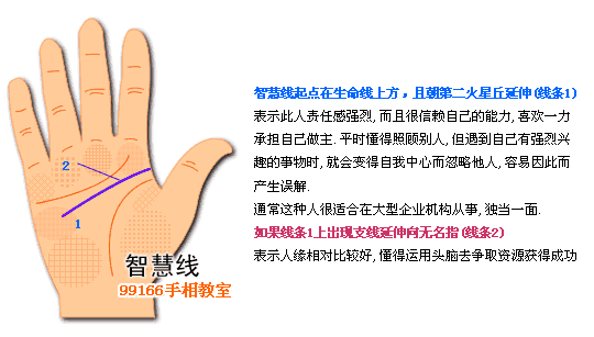 智慧线,个性,看手相,手相