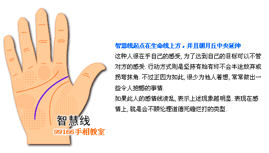 智慧线,个性,看手相,手相