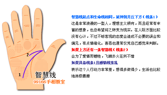 智慧线,个性,看手相,手相