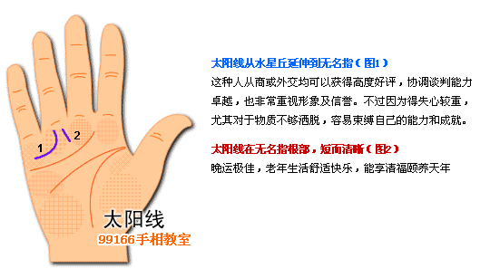 太阳线,成功运,手相,看手相