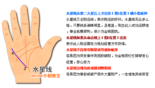 掌纹,支线,手相,看手相