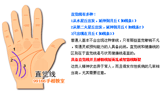 掌纹,支线,手相,看手相