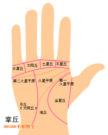 伸手看掌丘奥秘