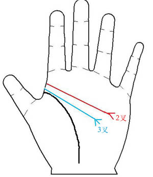 手相图解,手相图解智慧线,智慧线