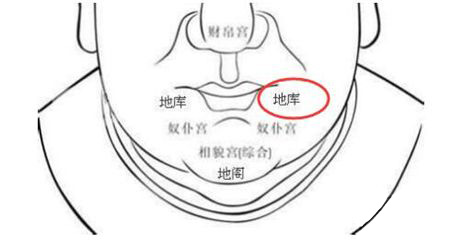 面相特征,偏财运面相,面相看偏财运