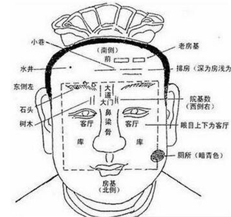 面相特征,名利双收,面相看事业运