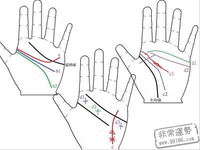 手相算命图解,手相,手相算命