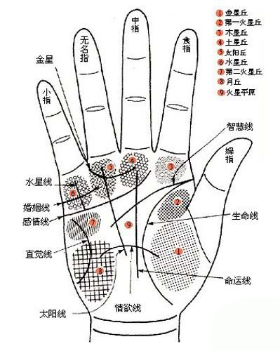 手相图解,手相算命图解,手相看财运