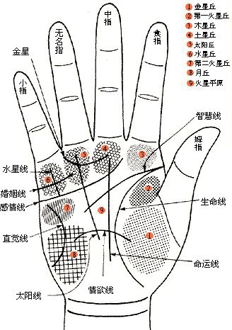 婚姻线,婚姻,手相