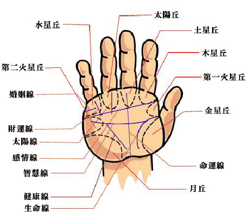 运势,手相,手相算命图解