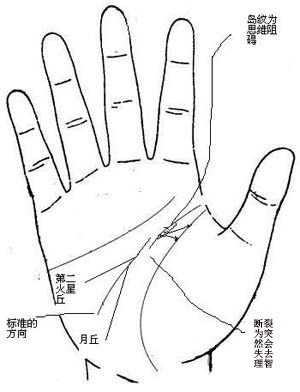 智慧线,手相智慧线,手相智慧线图解