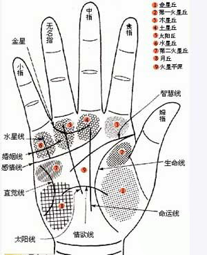 手相,手相图解,手相算命图解