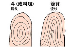 手相,斗和簸箕,性格