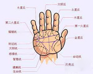 手相,相术,手相之谜