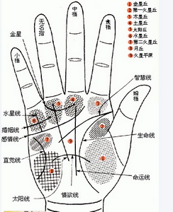 滥施感情,手相