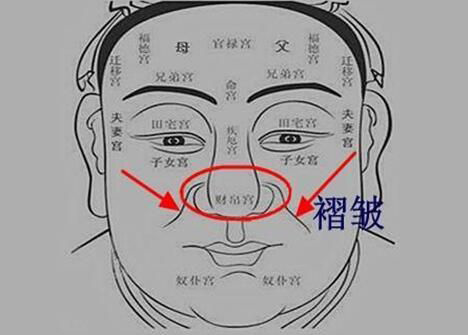 手面相特征,贵不可言,相学分析