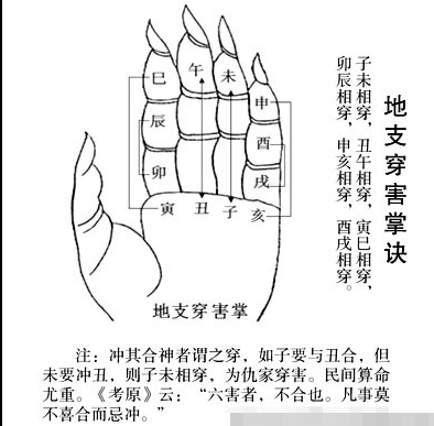 地支、三合、三会、 六合、六害、三刑各代表的意义!