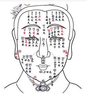 痣相图解,女人痣相