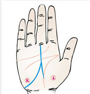 手相图解,事业线分叉,事业线分叉的含义