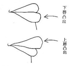 唇相,面相