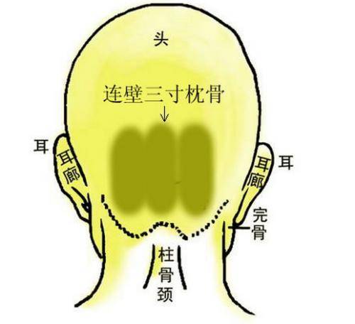 《相学精义》刘恒注解，枕骨面相篇