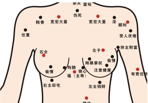 全身痣相图解（经典版）