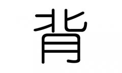 背字的五行属什么，背字有几划，背字的含义