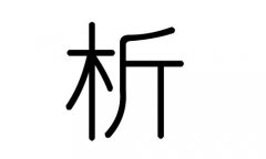 析字的五行属什么，析字有几划，析字的含义