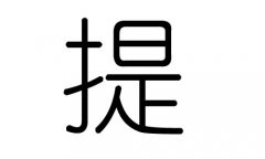 提字的五行属什么，提字有几划，提字的含义