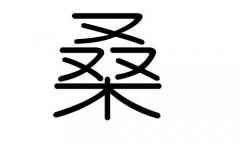 桑字的五行属什么，桑字有几划，桑字的含义